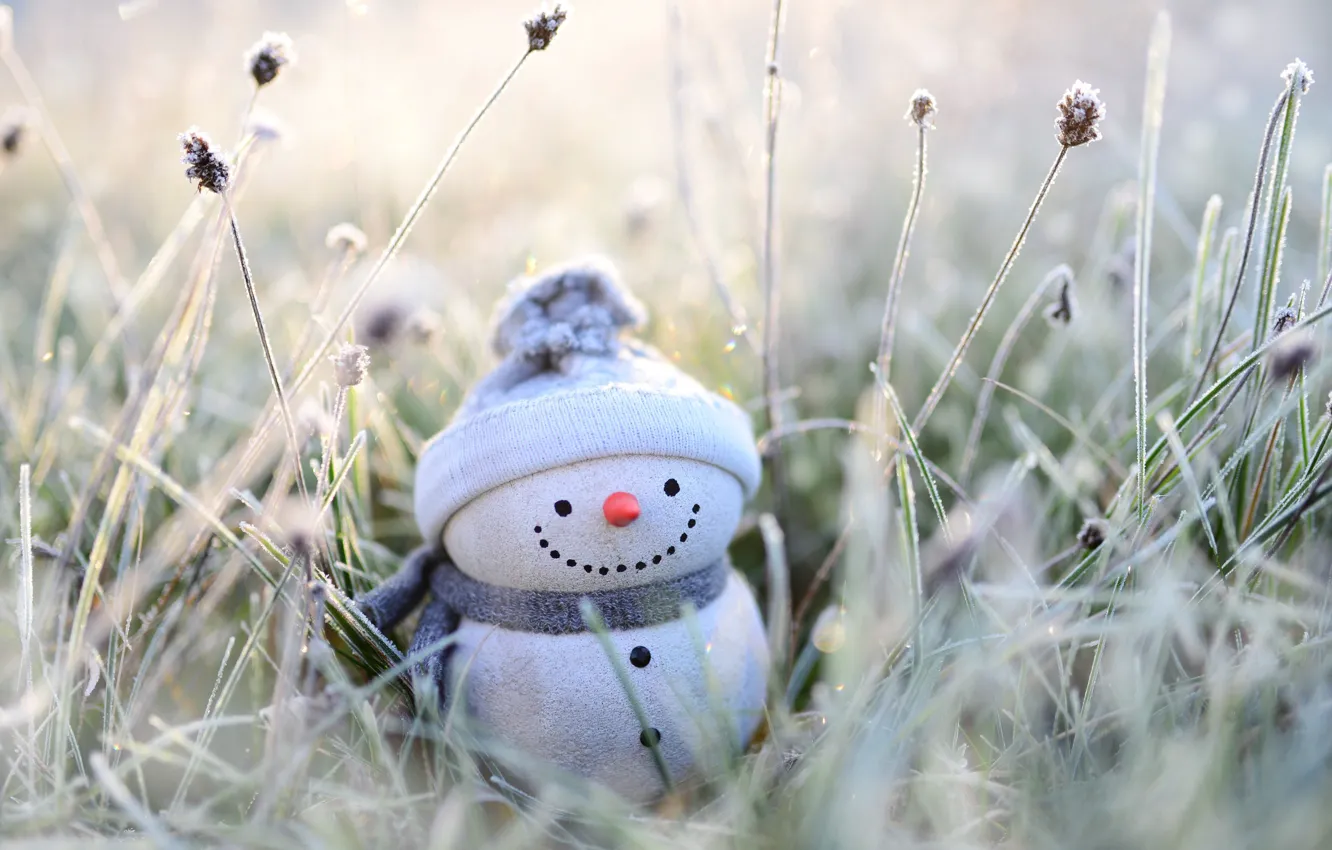 Фото обои зима, иней, трава, улыбка, праздник, игрушка, Рождество, Новый год