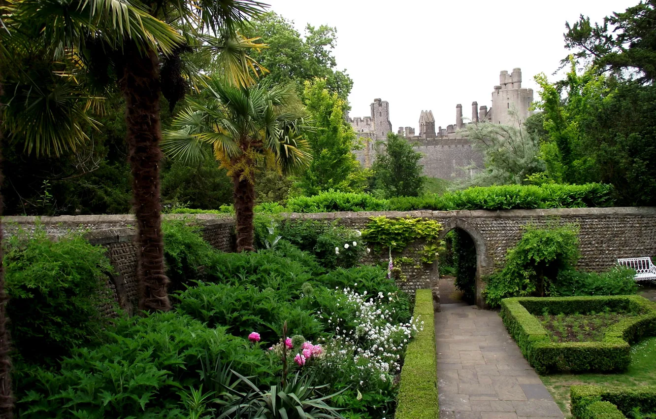 Фото обои деревья, цветы, парк, пальмы, замок, стена, камень, Arundel Castle Rose Gardens UK