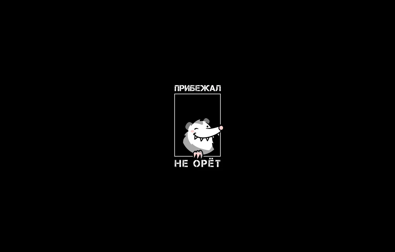 Фото обои рисунок, юмор, черный фон, опоссум, шутка, мем, opossum, by Pyrus-acerba