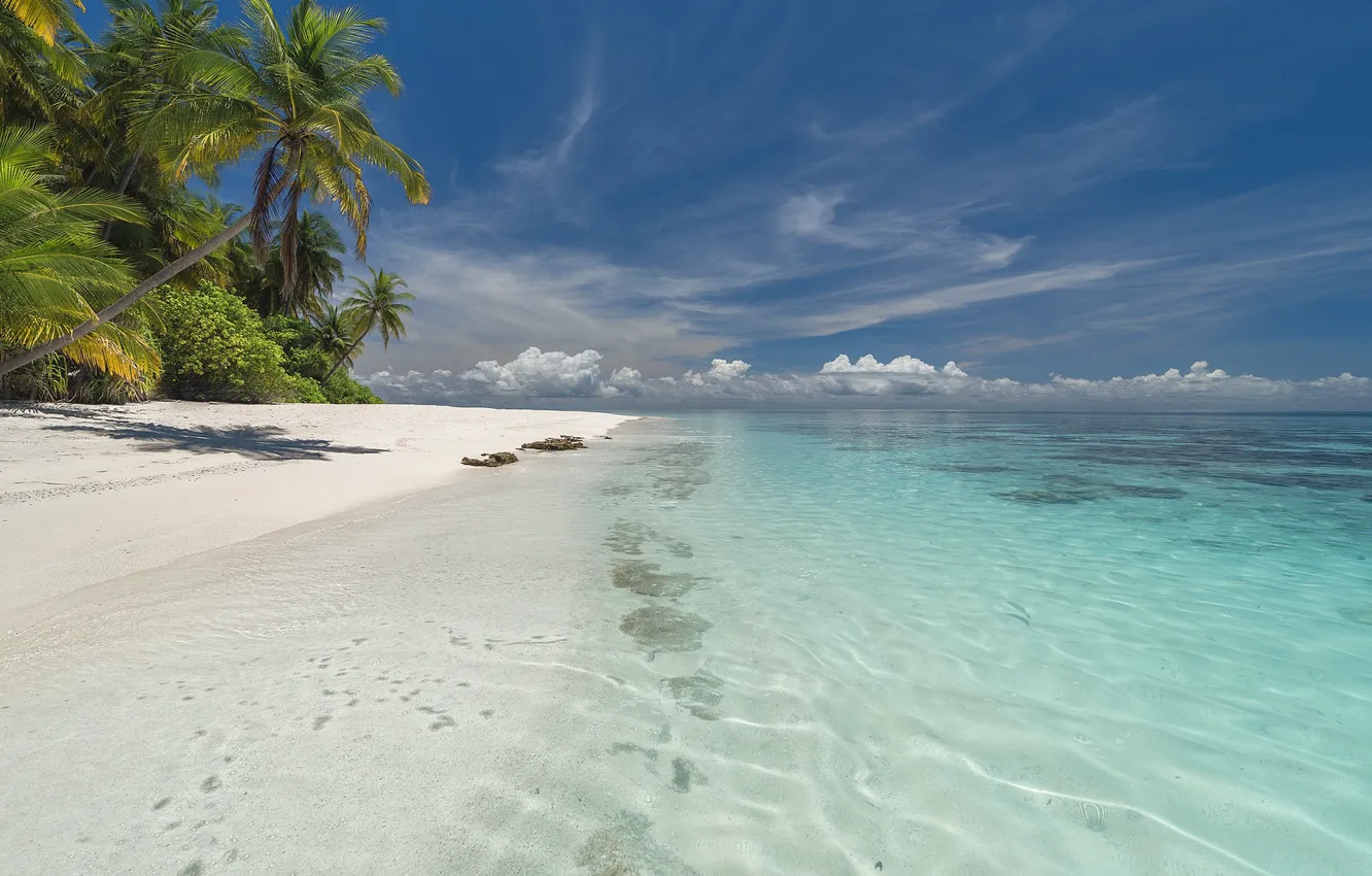 Фото обои море, пляж, лето, пальмы, Тропики, голубое небо