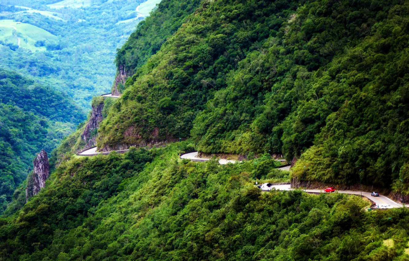 Фото обои дорога, лес, горы, скалы, Бразилия, Serra do Rio do Rastro