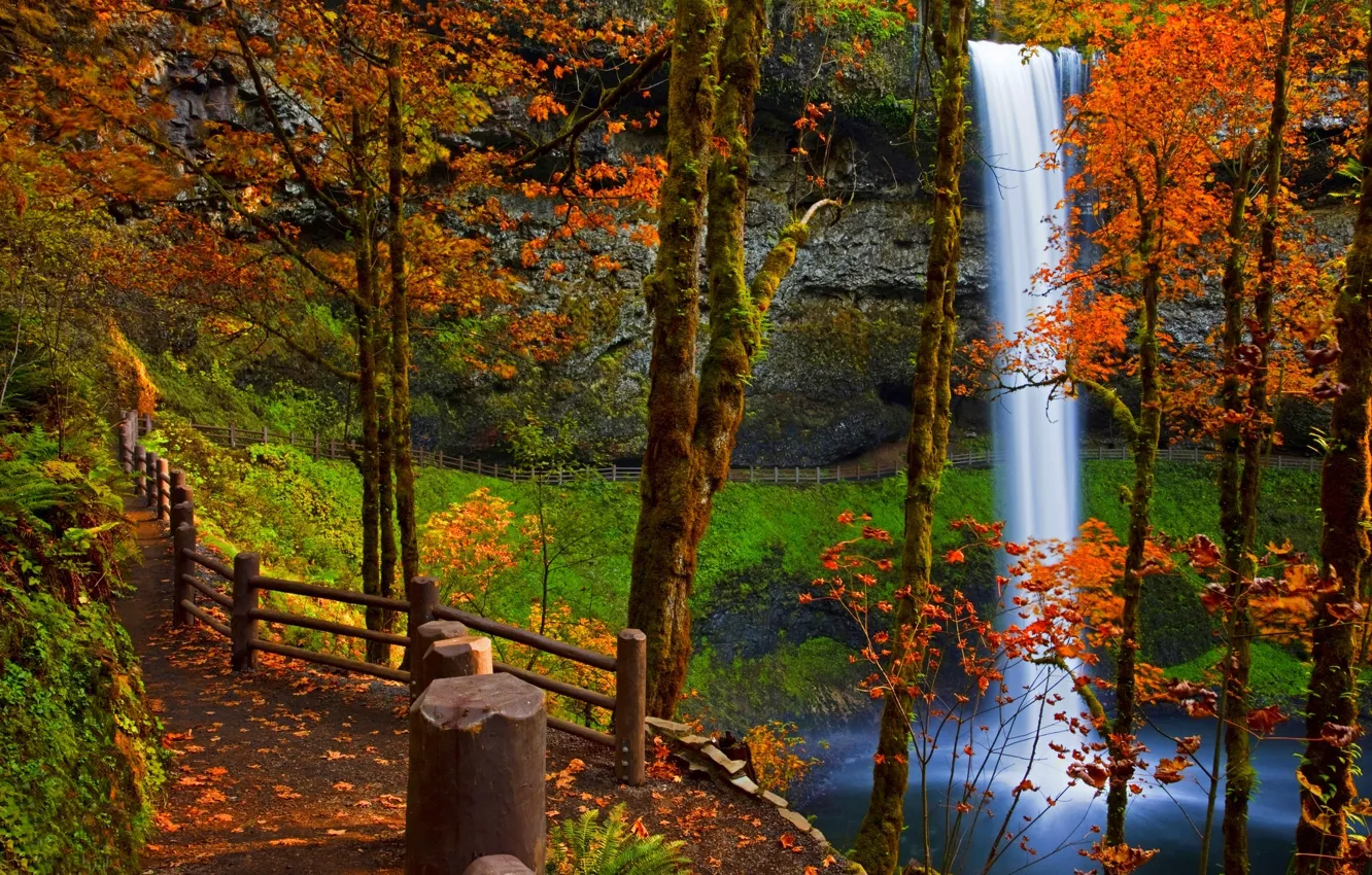 Фото обои дорога, осень, лес, листья, вода, деревья, пейзаж, горы