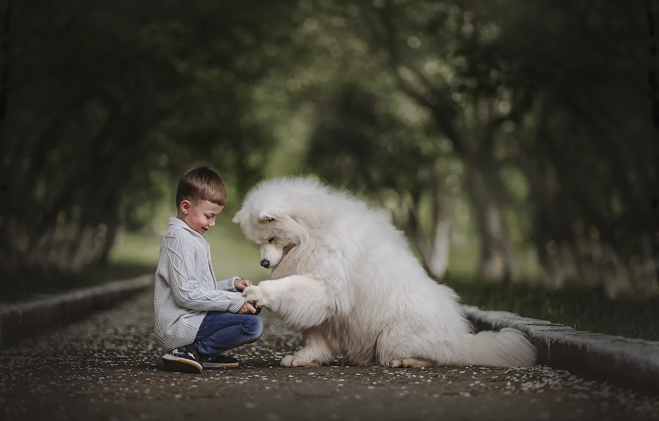 Фото обои животное, собака, мальчик, аллея, друзья, ребёнок, пёс, Ксения Лысенкова
