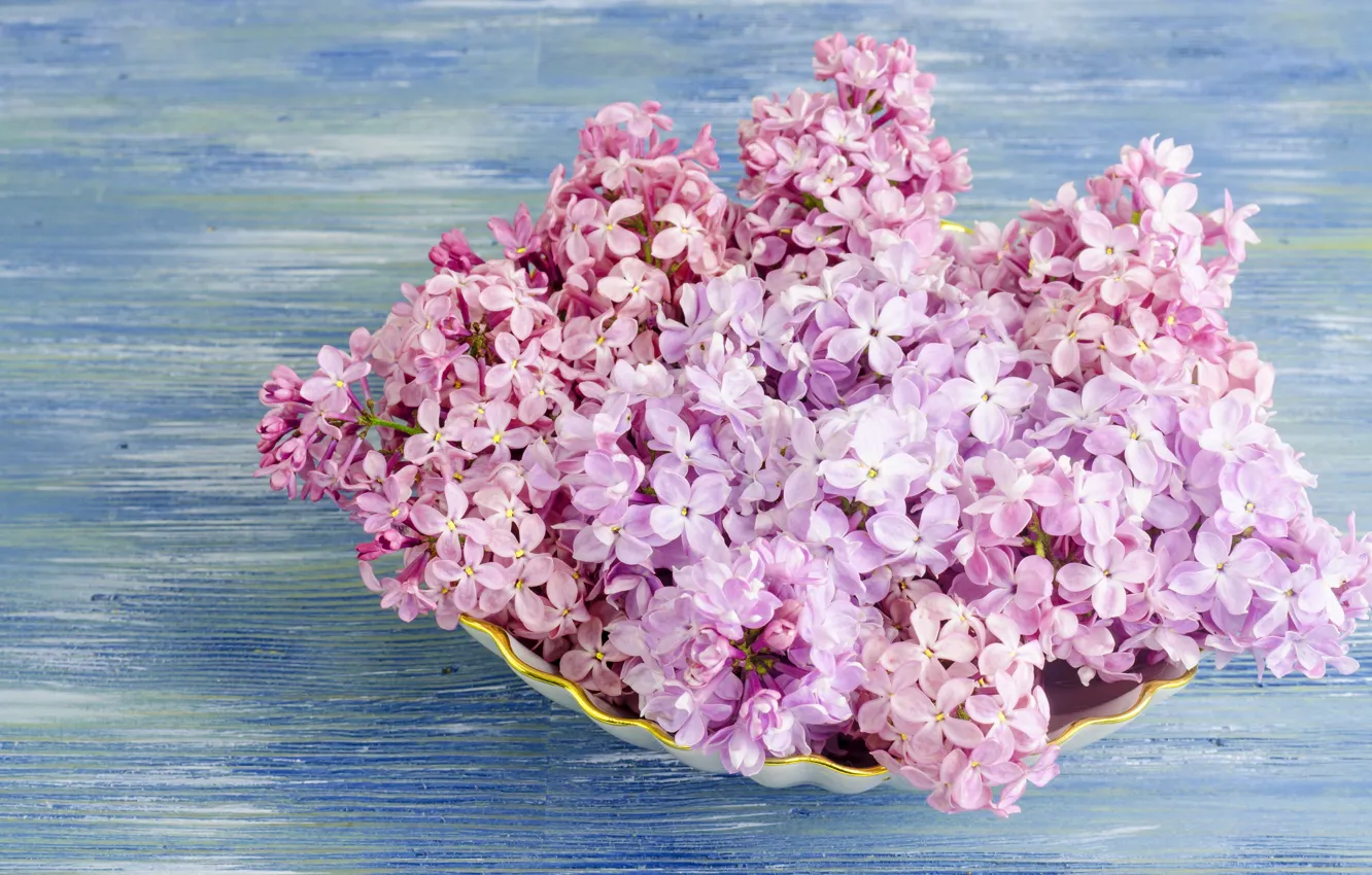 Фото обои цветы, wood, flowers, сирень, lilac