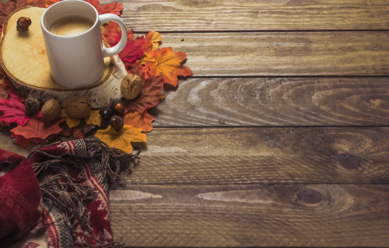 Фото обои осень, листья, фон, дерево, кофе, colorful, шарф, чашка