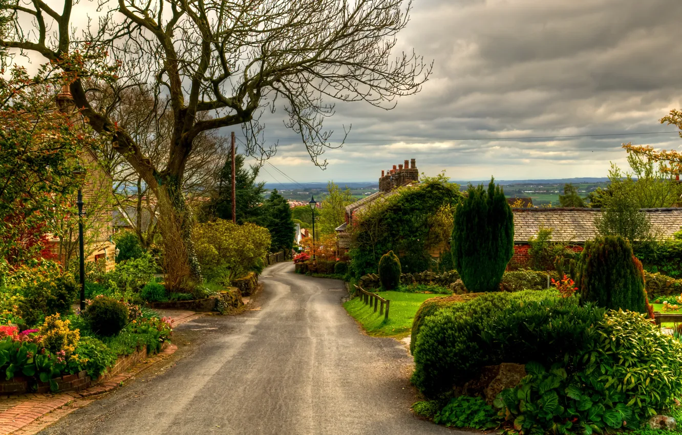 Фото обои дорога, деревья, город, фото, Англия, Великобритания, кусты, Horwich