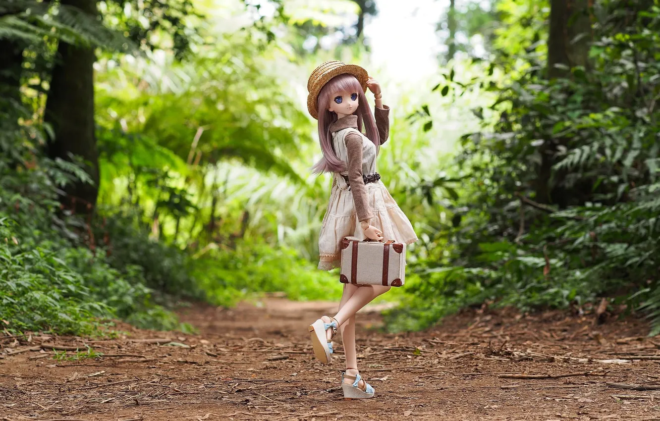 Фото обои лес, природа, игрушка, шляпа, кукла, аниме, платье, чемодан