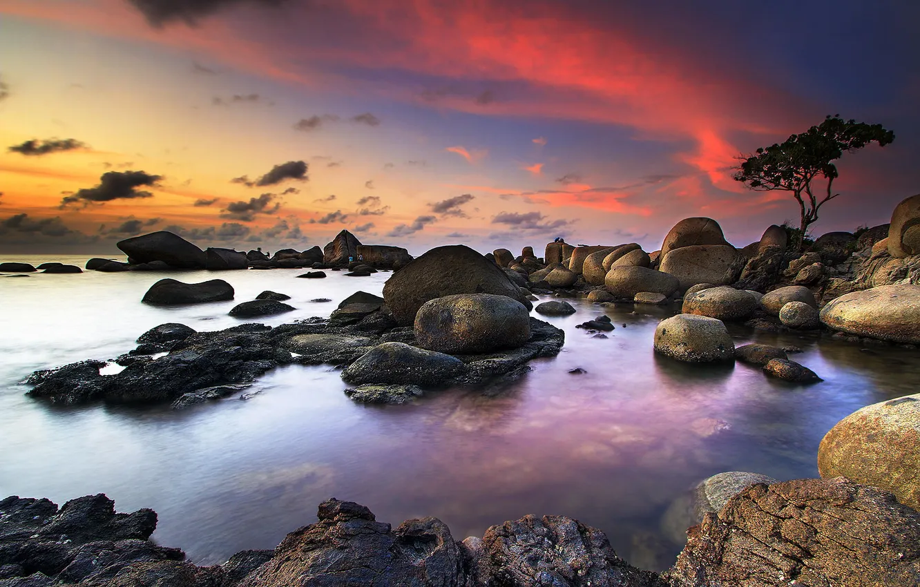 Фото обои камни, дерево, скалы, рассвет, побережье