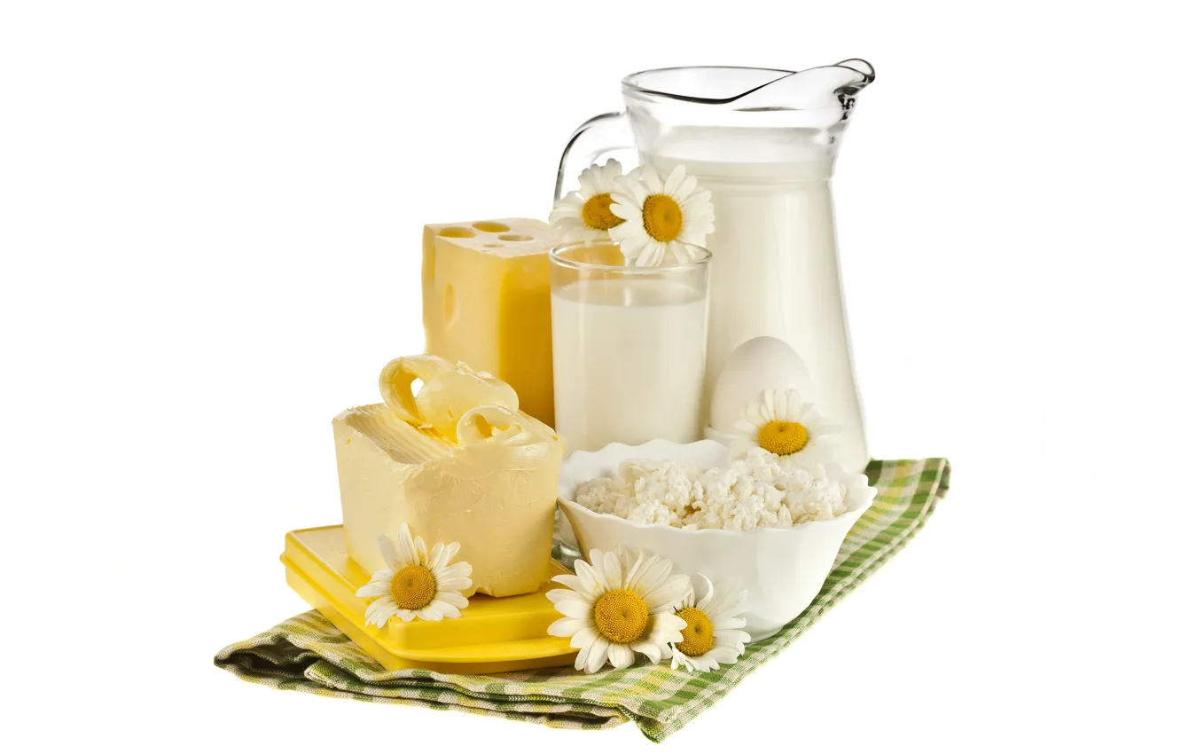 Фото обои цветы, стакан, яйцо, масло, ромашки, сыр, молоко, белый фон