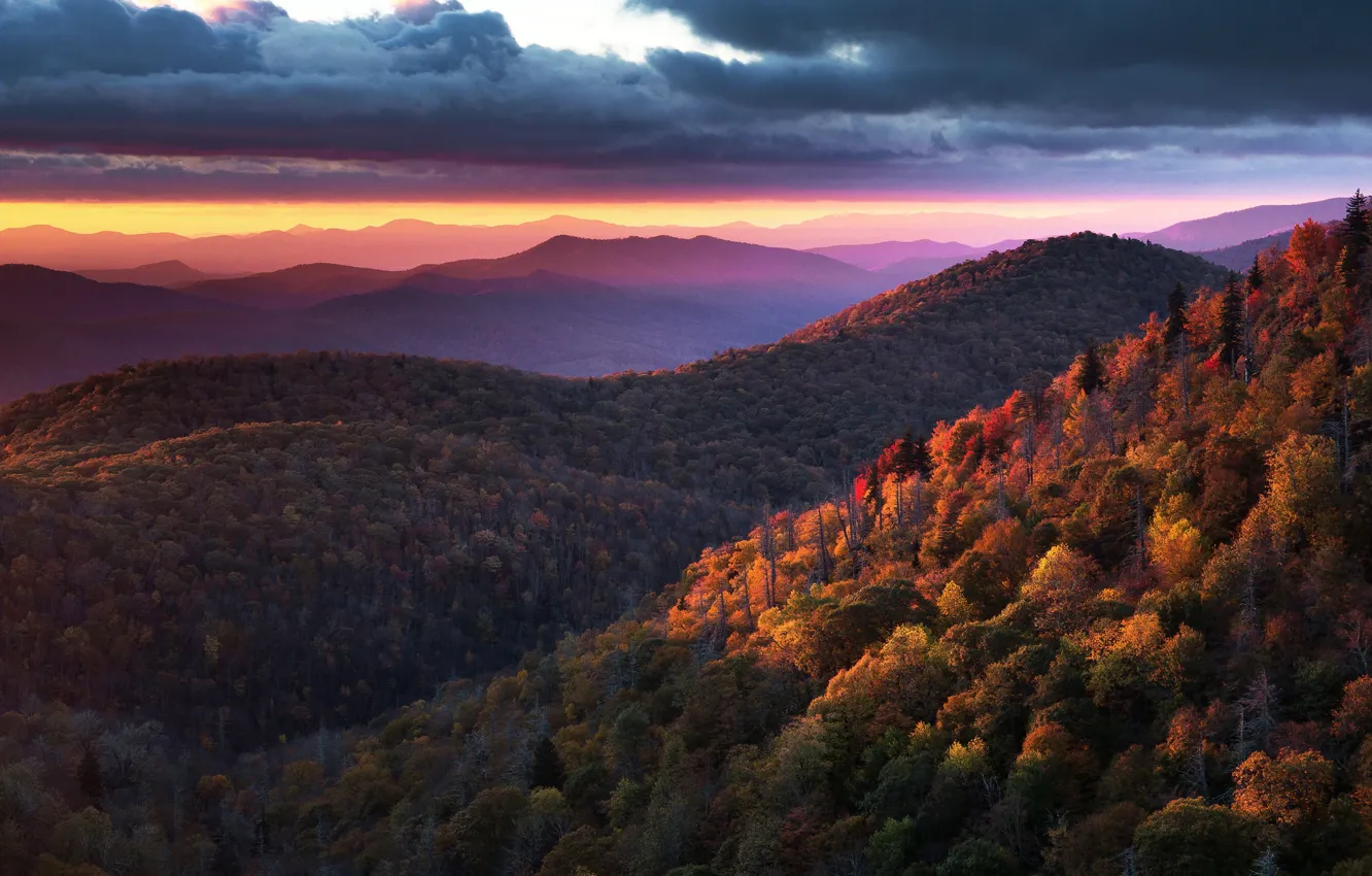 Фото обои осень, лес, закат, горы, тучи, туман, холмы, листва