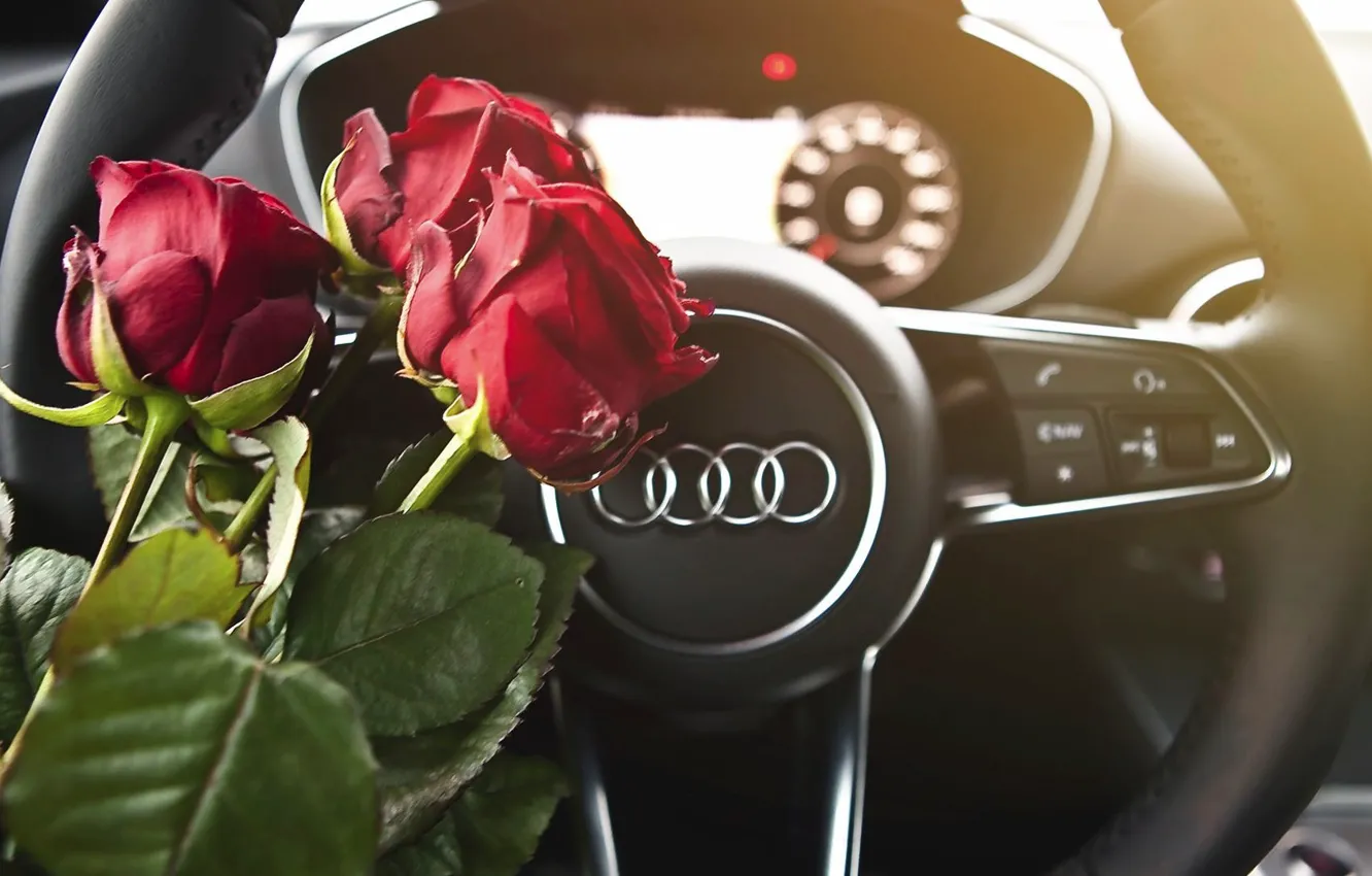 Фото обои макро, цветы, Audi, розы