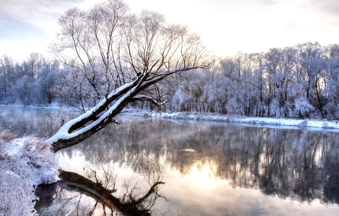 Фото обои холод, зима, деревья, пейзаж, природа, отражение, река, wonderland