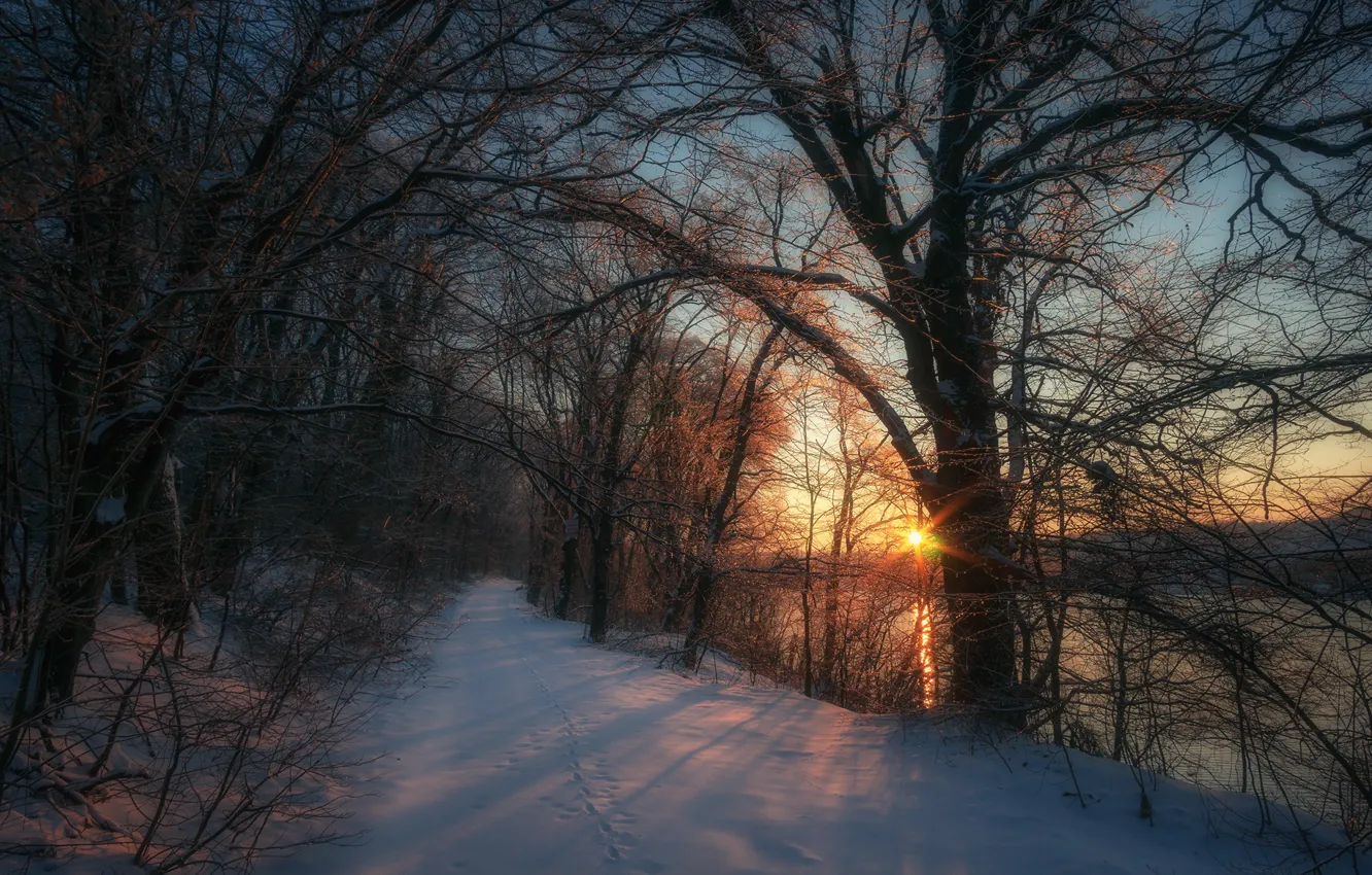 Фото обои дорога, солнце, снег, деревья, закат