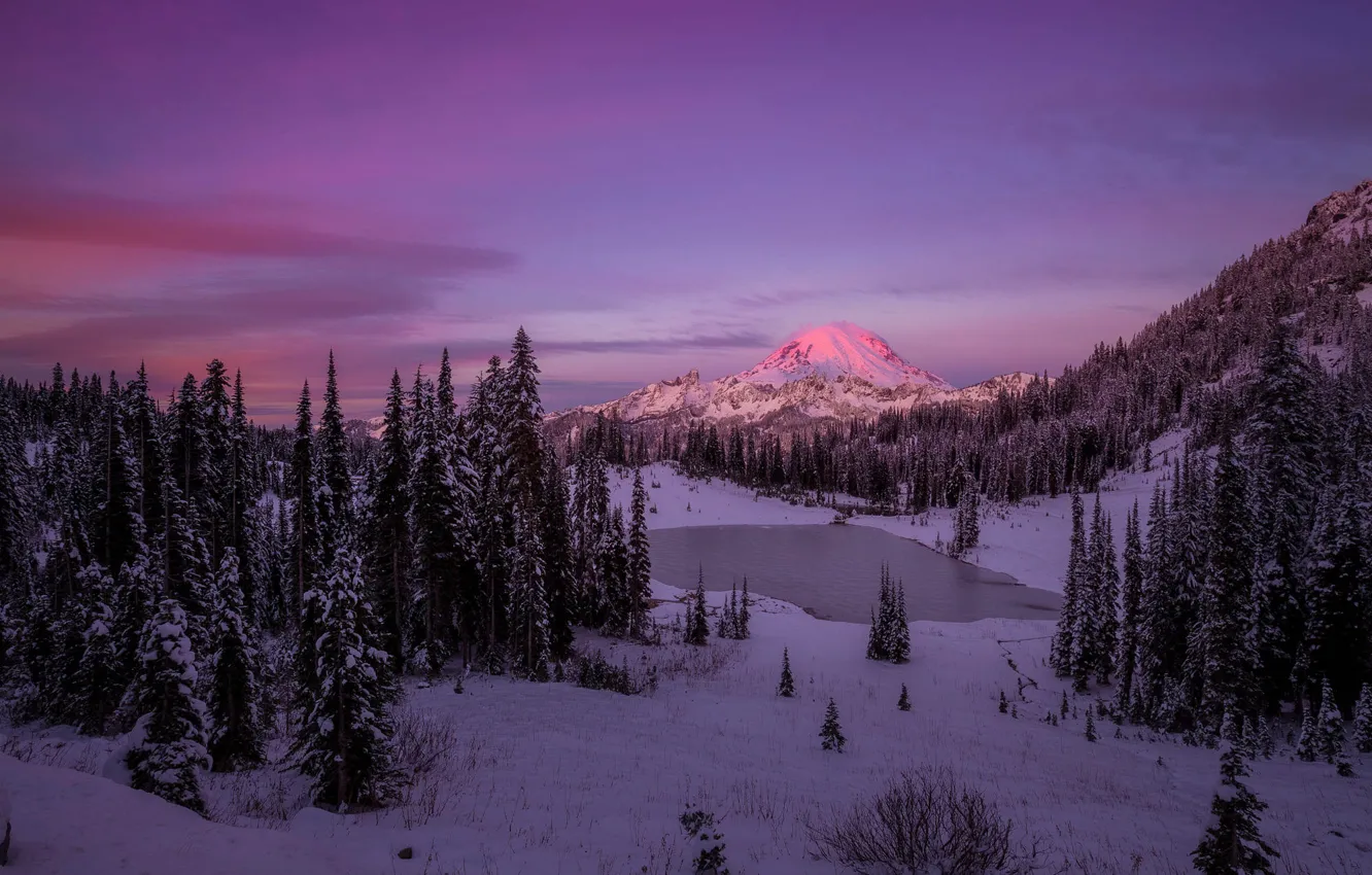 Фото обои зима, лес, снег, закат, горы, Doug Shearer