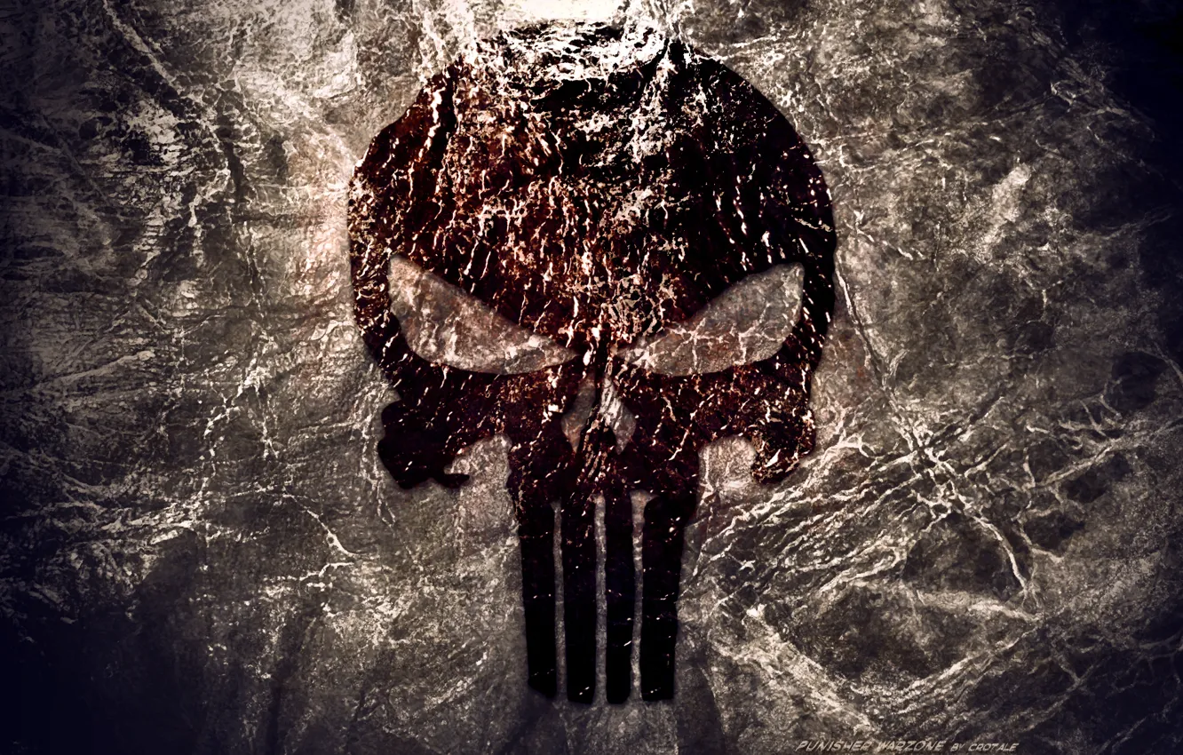 Фото обои skull, logo, Punisher