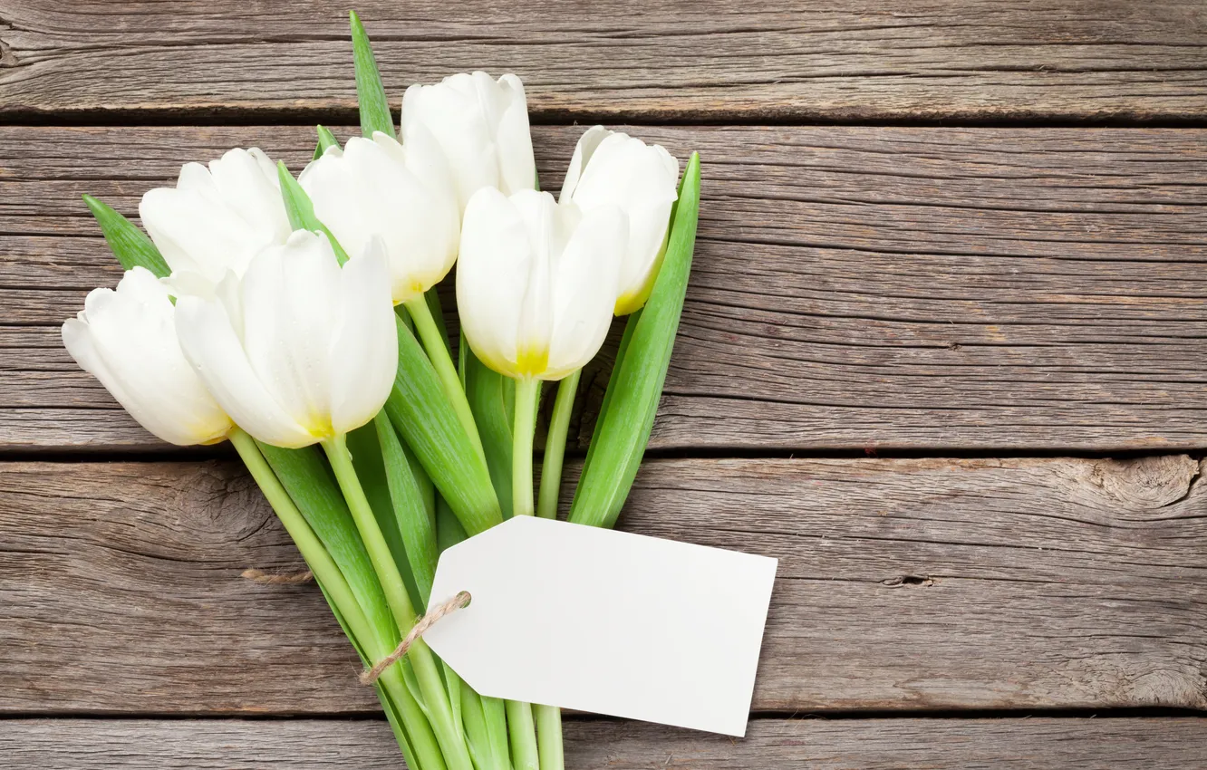 Фото обои цветы, букет, тюльпаны, white, wood, flowers, tulips, spring
