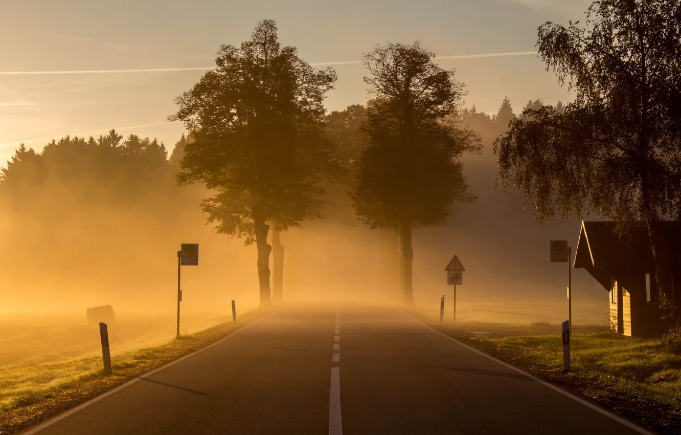 Фото обои дорога, туман, утро