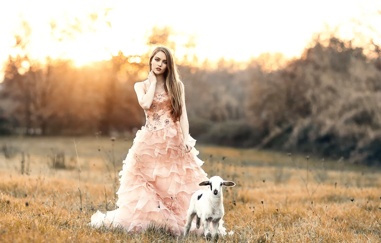 Фото обои девушка, ягнёнок, Alessandro Di Cicco, Sweet girl with a sweet lamb