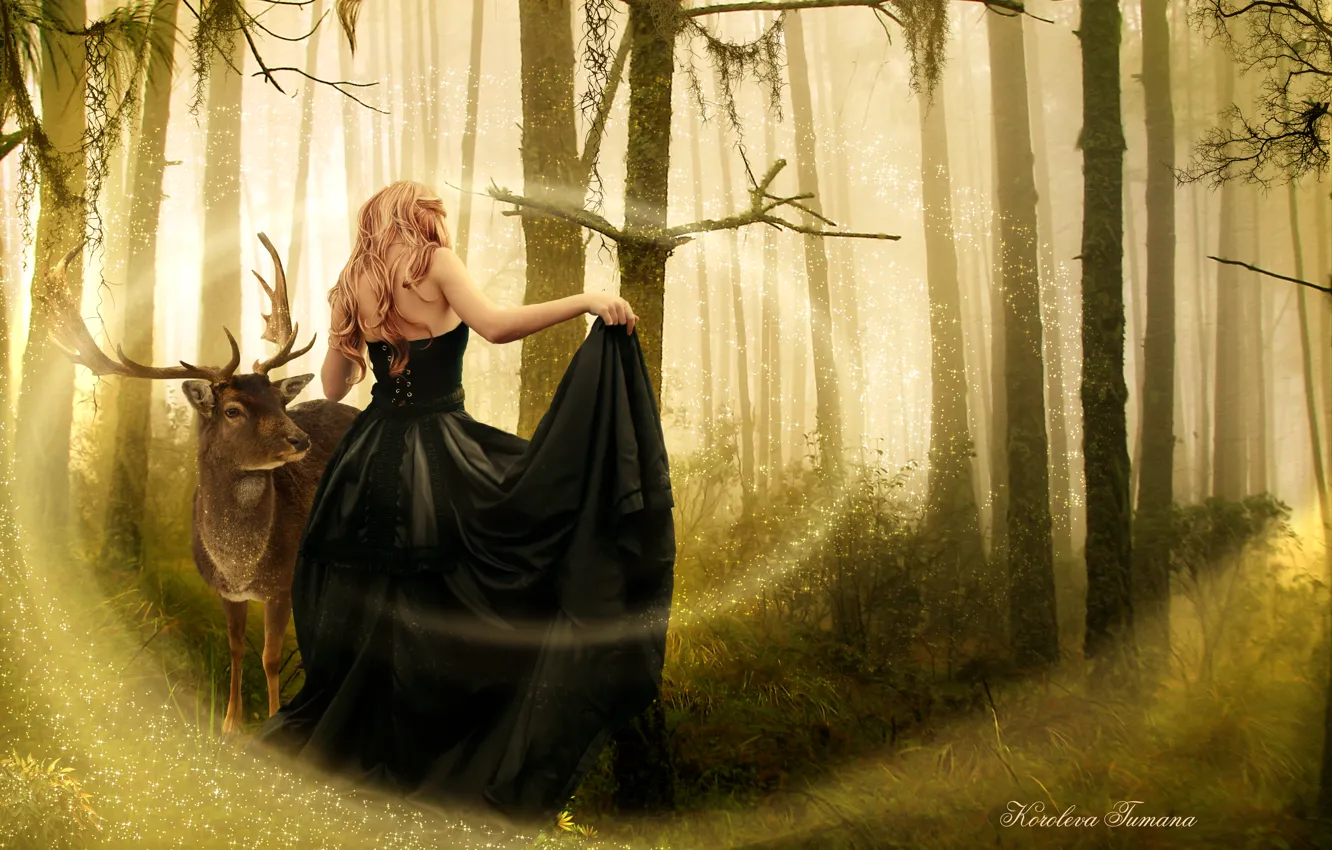 Фото обои лес, девушка, деревья, животное, магия, спина, платье, черное