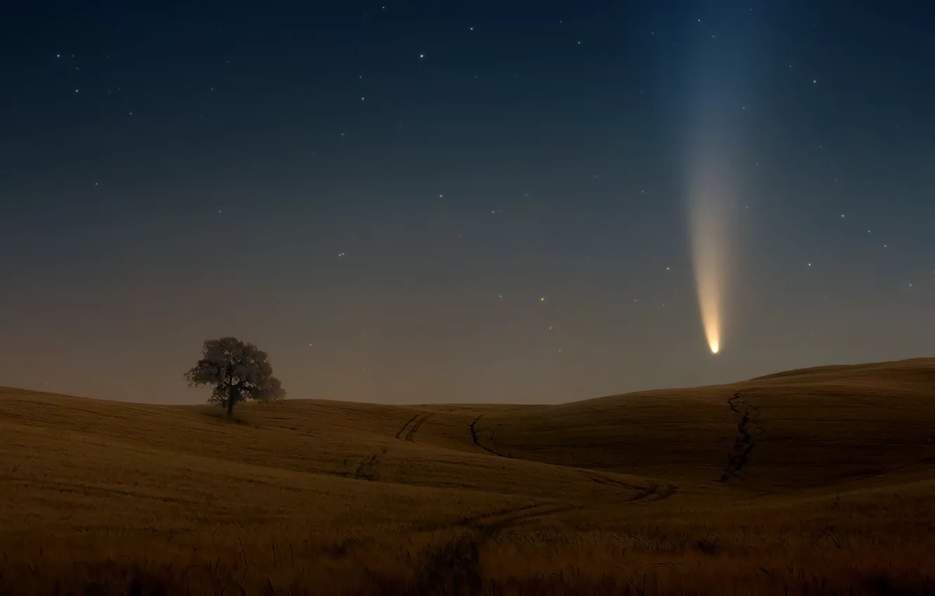Фото обои поле, небо, звезды, дерево, комета, sky, field, stars