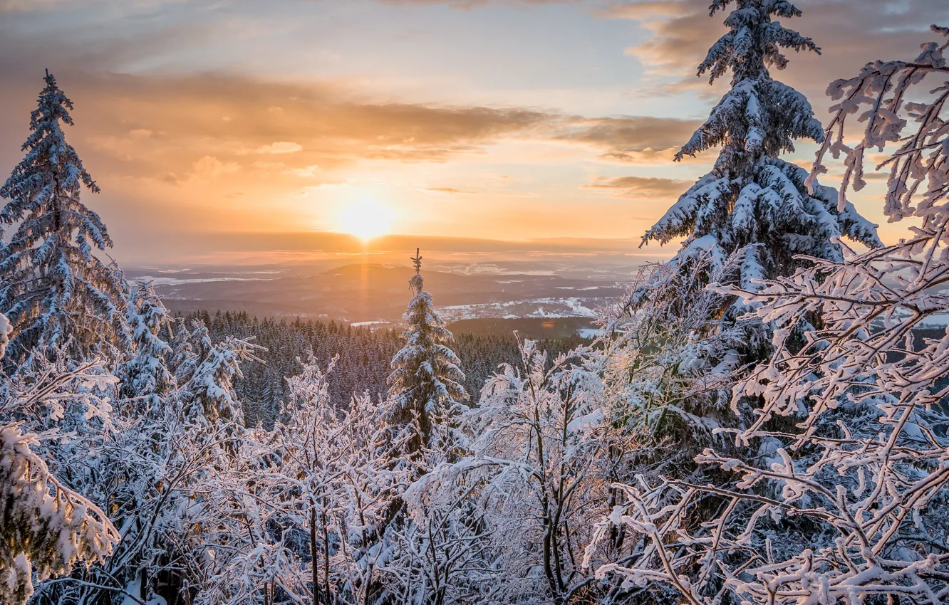 Фото обои зима, лес, небо, солнце, облака, снег, деревья, природа