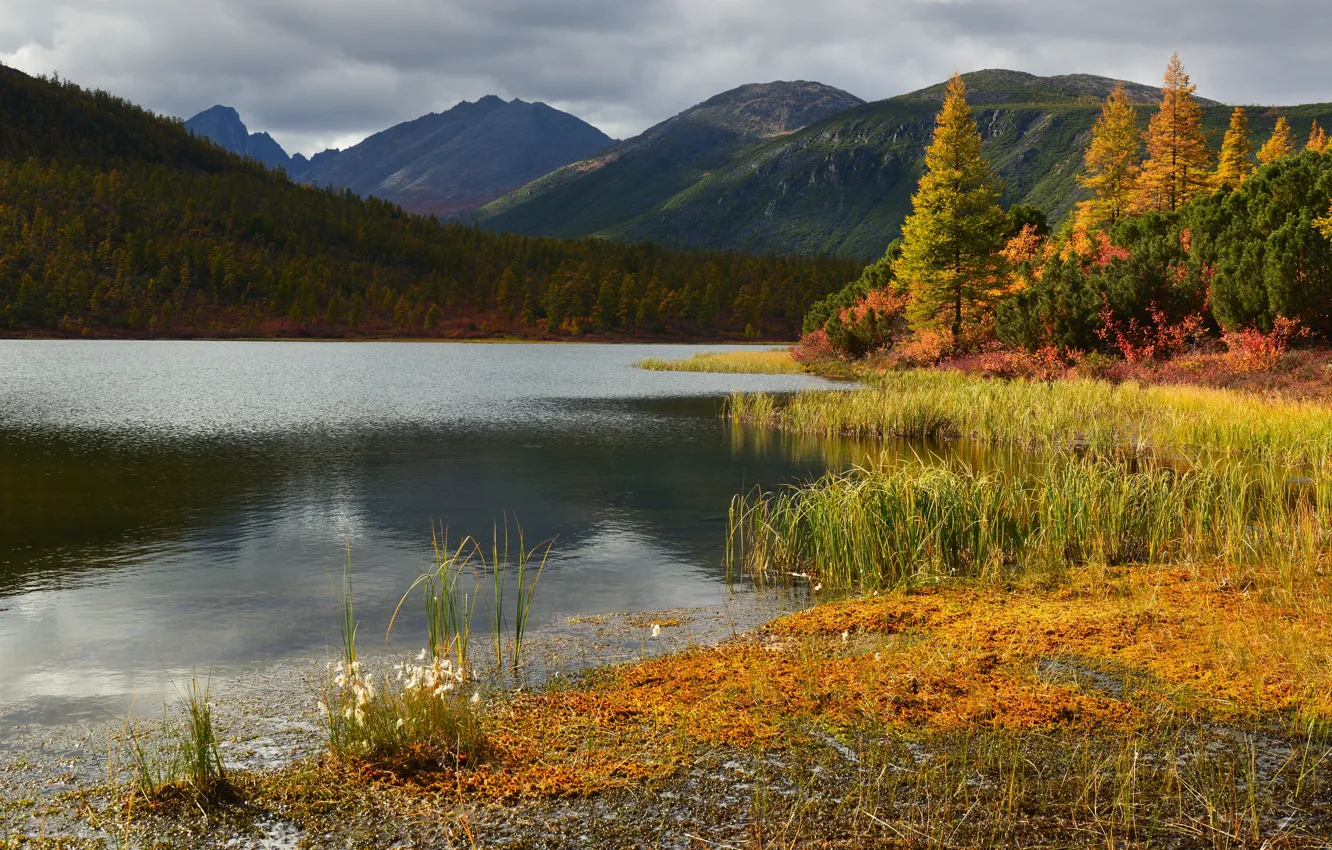 Фото обои осень, трава, деревья, пейзаж, горы, природа, озеро, леса