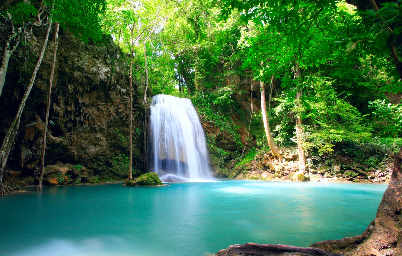 Фото обои зелень, вода, деревья, природа, пруд, водопад, поток