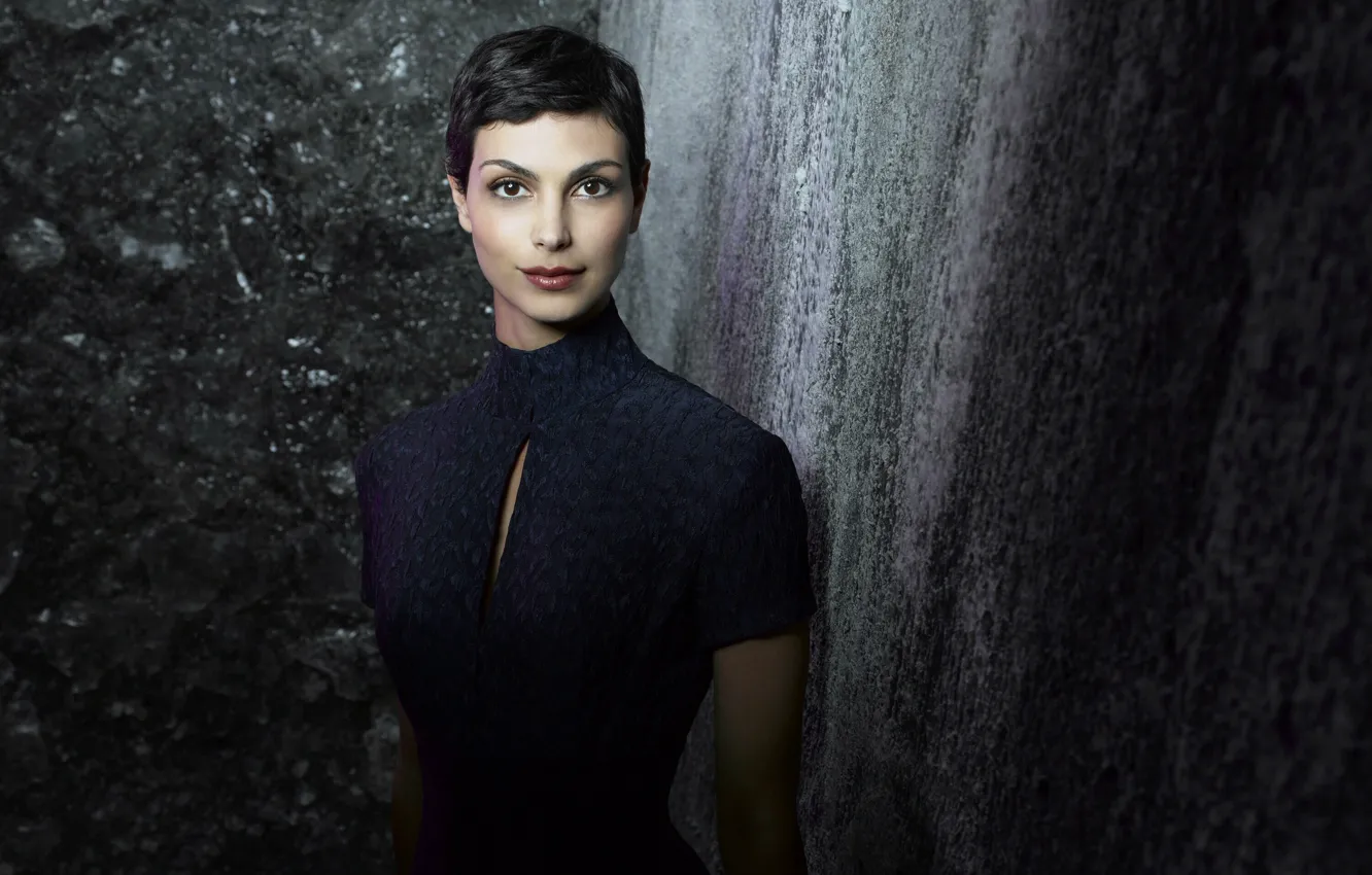 Фото обои взгляд, поза, Morena Baccarin, макияж, фигура, актриса, pose, actress