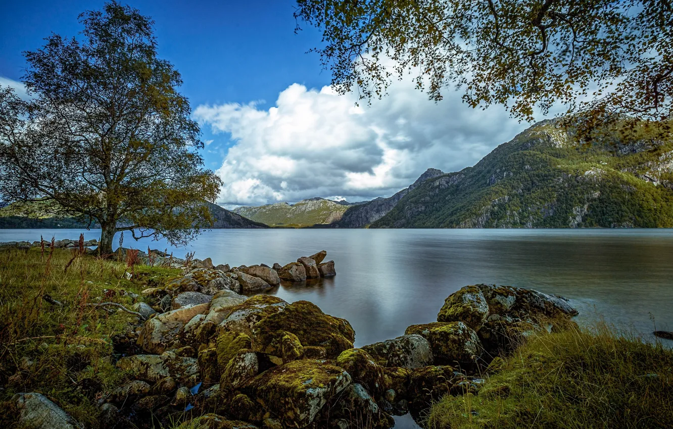 Фото обои горы, озеро, камни, дерево, Норвегия, Norway, Ругаланн, Rogaland