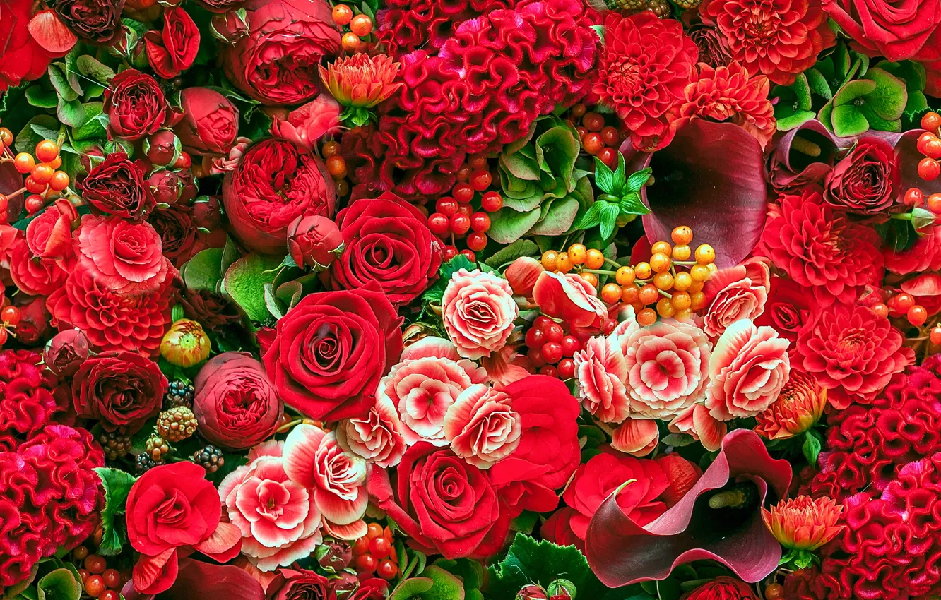 Фото обои розы, каллы, георгины, бегонии, целозия