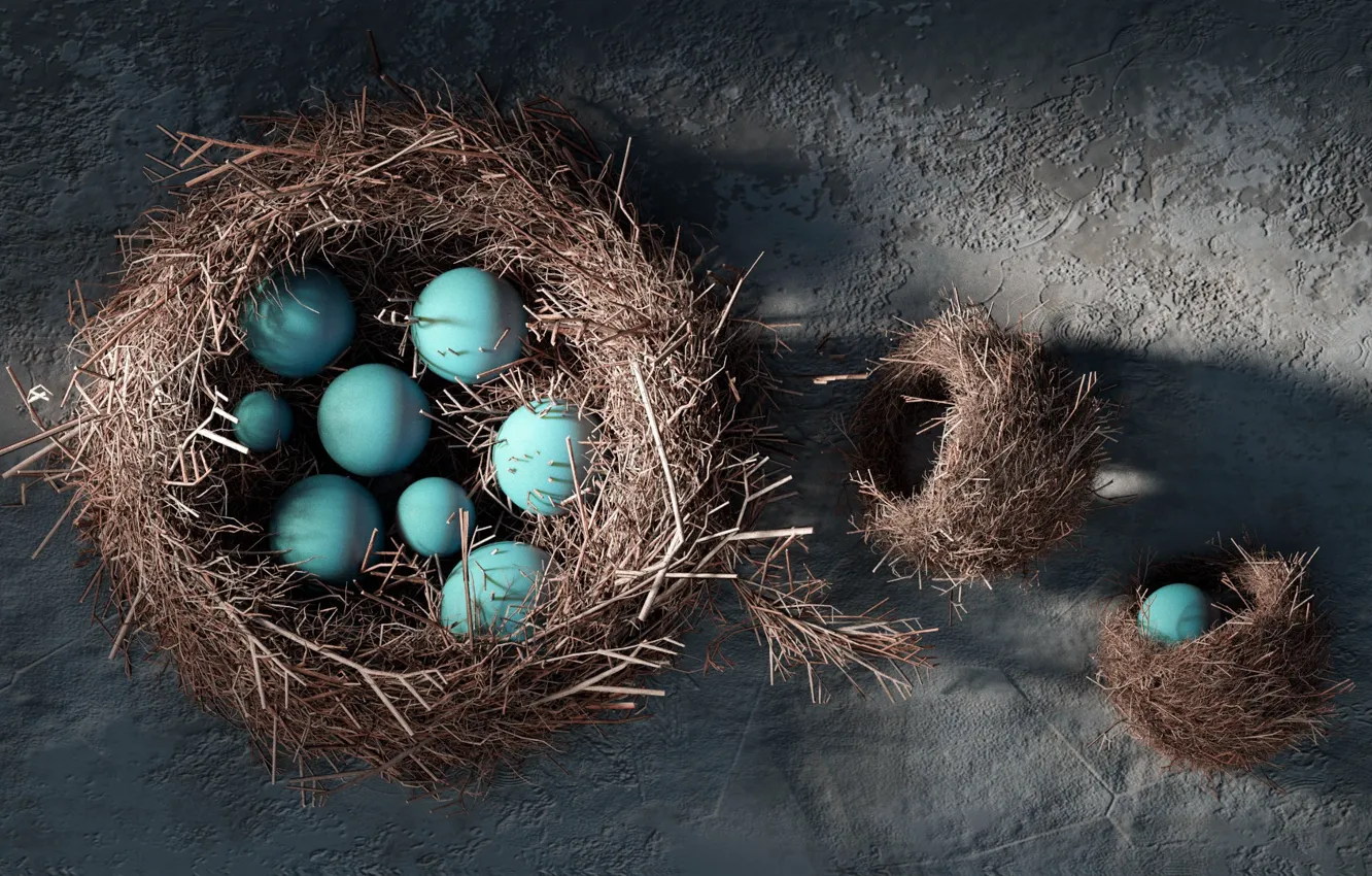 Фото обои арт, кладка, гнездо, Farid Ghanbari, The Nest
