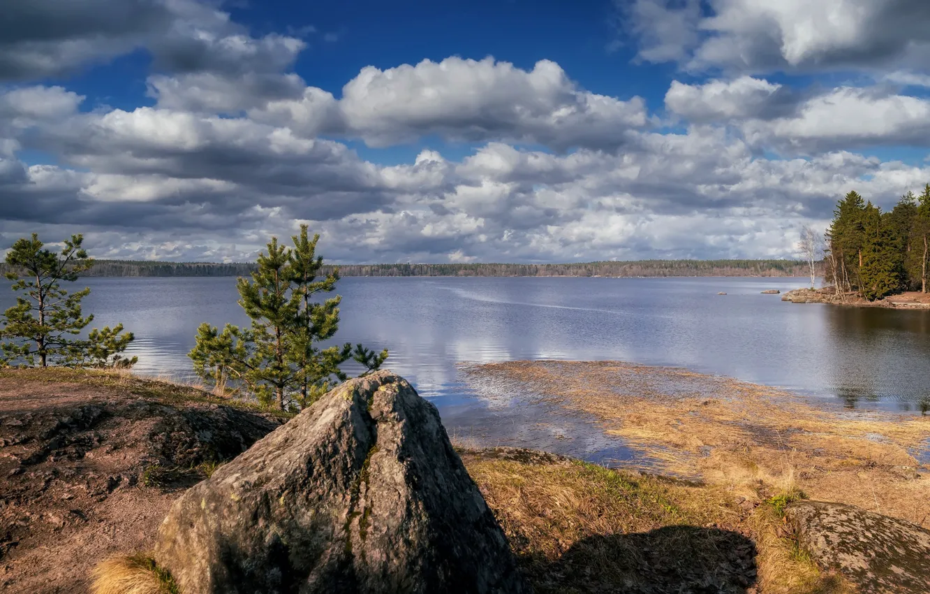 Фото обои озеро, берег, камень, сосны