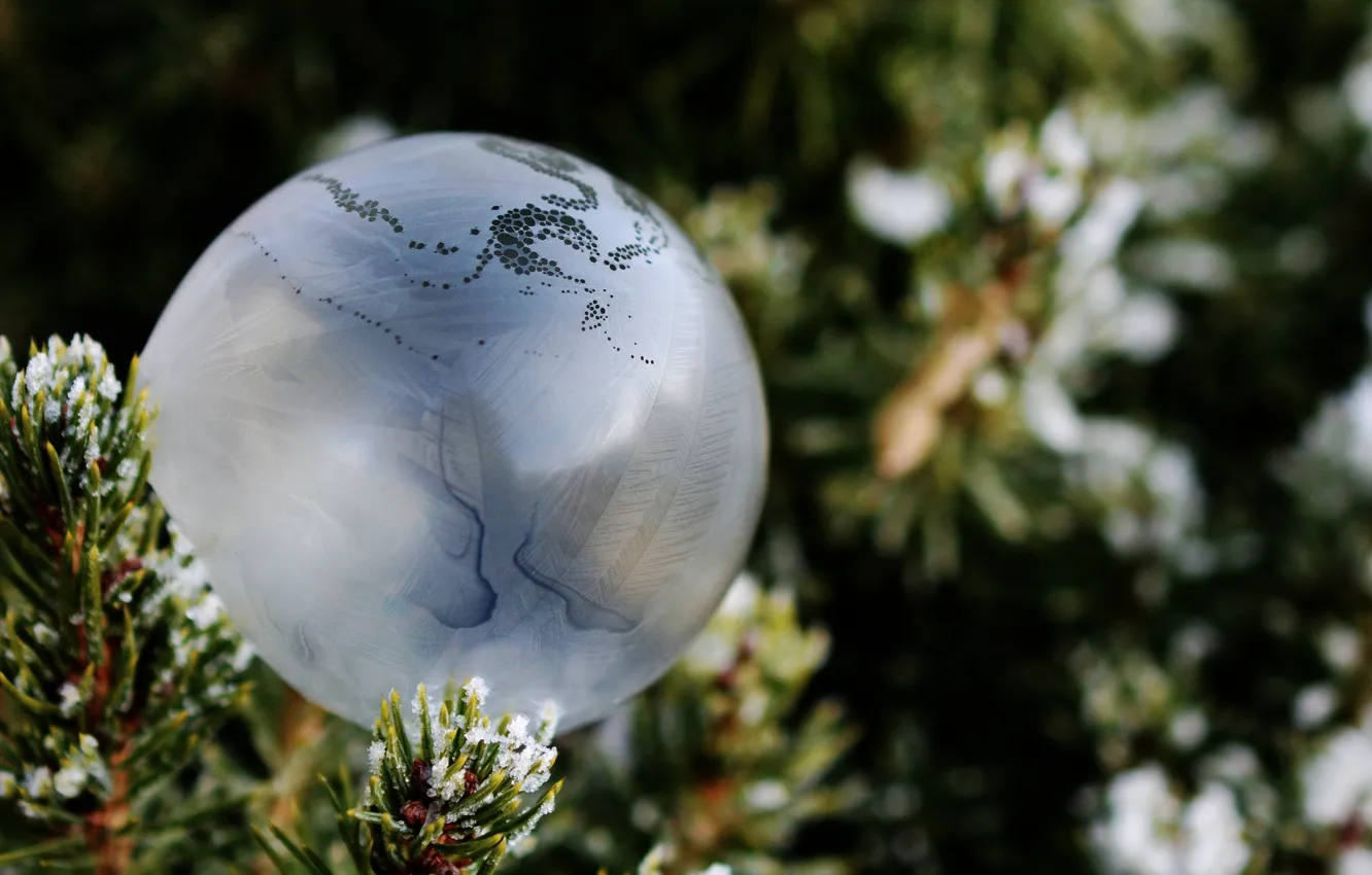 Фото обои зима, снег, праздник, новый год, шар, мыло, ёлка, пузырь