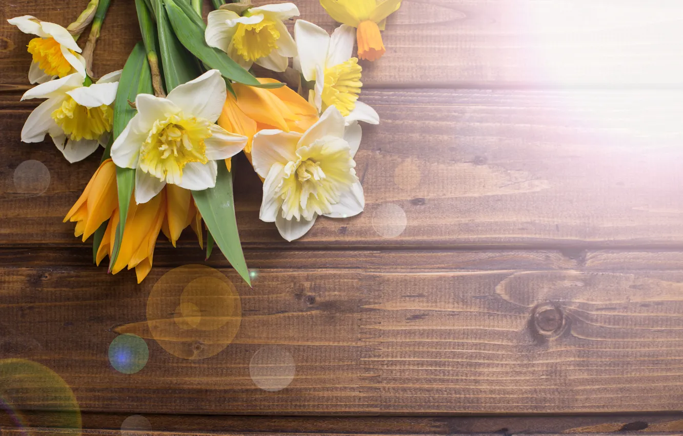 Фото обои цветы, букет, весна, тюльпаны, wood, flowers, tulips, нарциссы