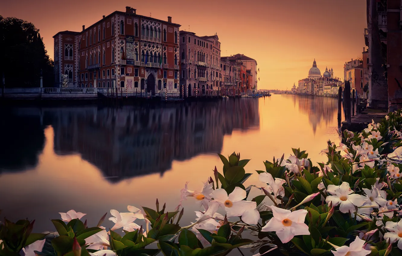 Фото обои цветы, город, venecia