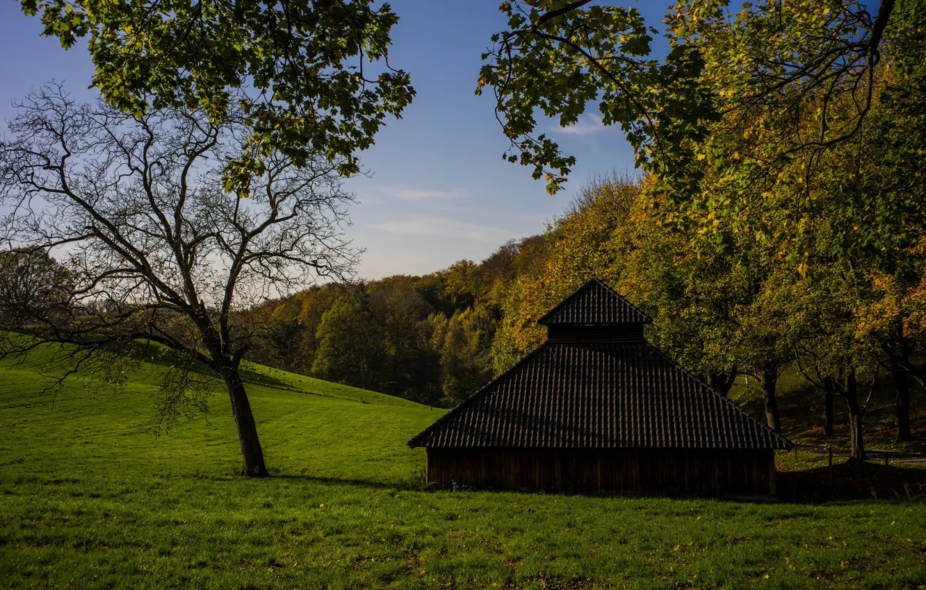 Фото обои осень, деревья, Германия, домик, Germany, Северный Рейн-Вестфалия, North Rhine-Westphalia, Бергишес-Ланд