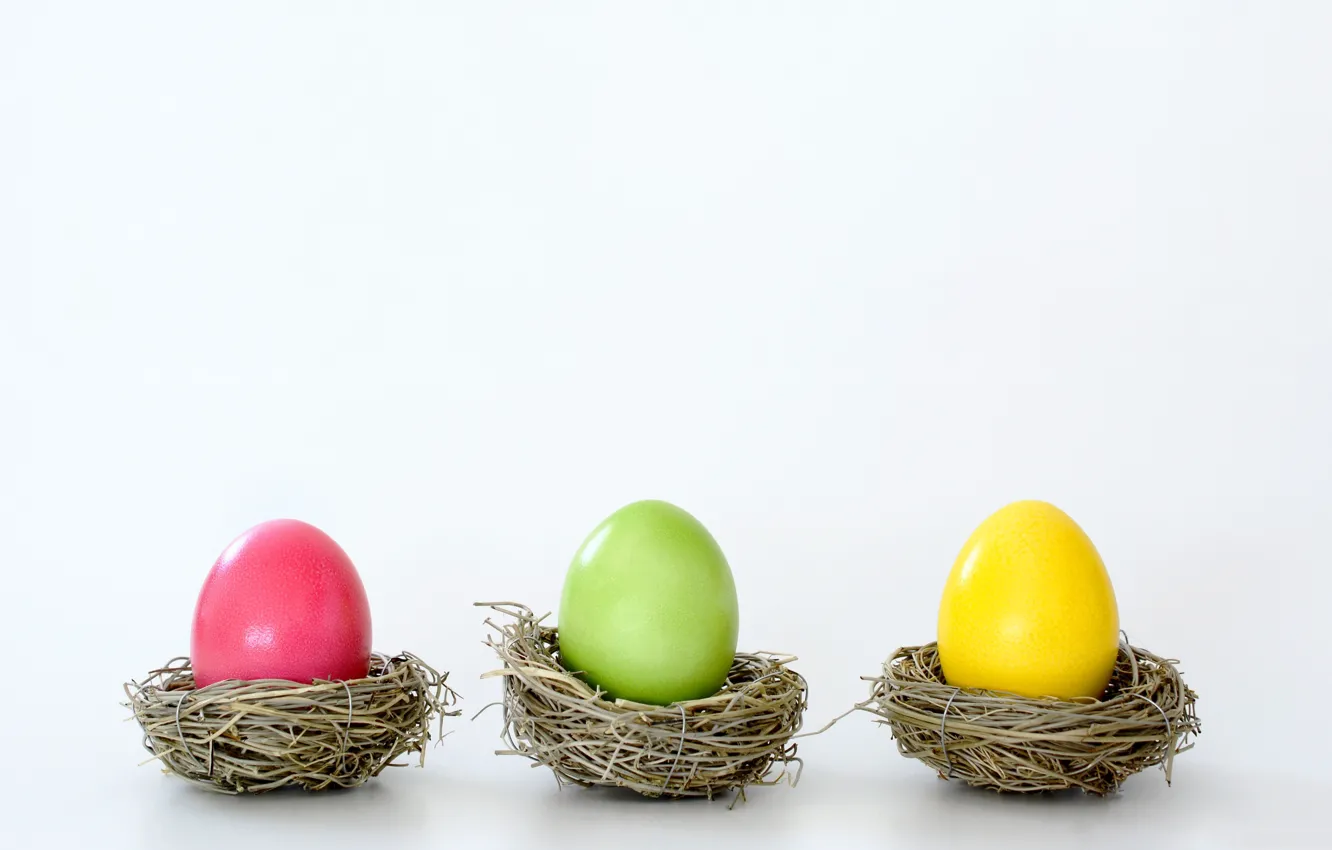 Фото обои яйца, Пасха, гнездо, воскресение