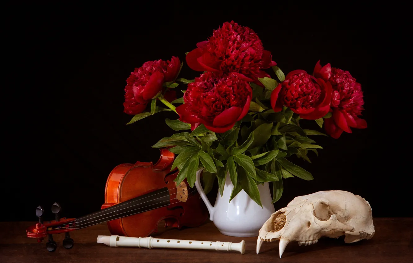 Фото обои скрипка, череп, пионы, дудочка