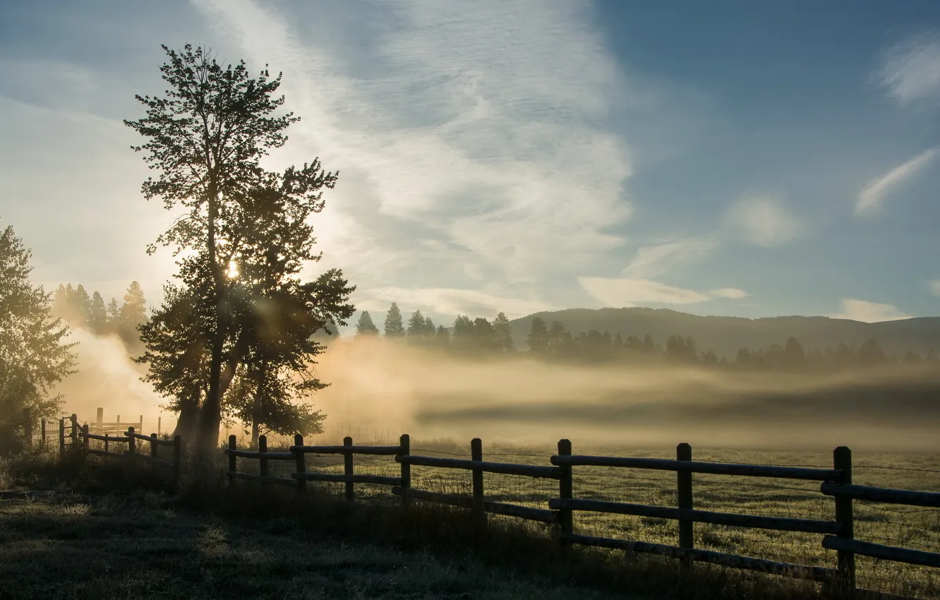 Фото обои пейзаж, туман, забор, утро