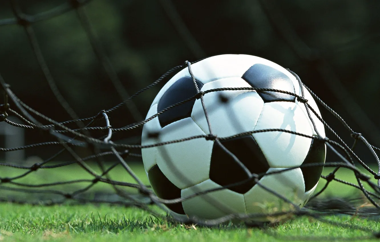 Фото обои сетка, газон, футбол, мяч, ворота