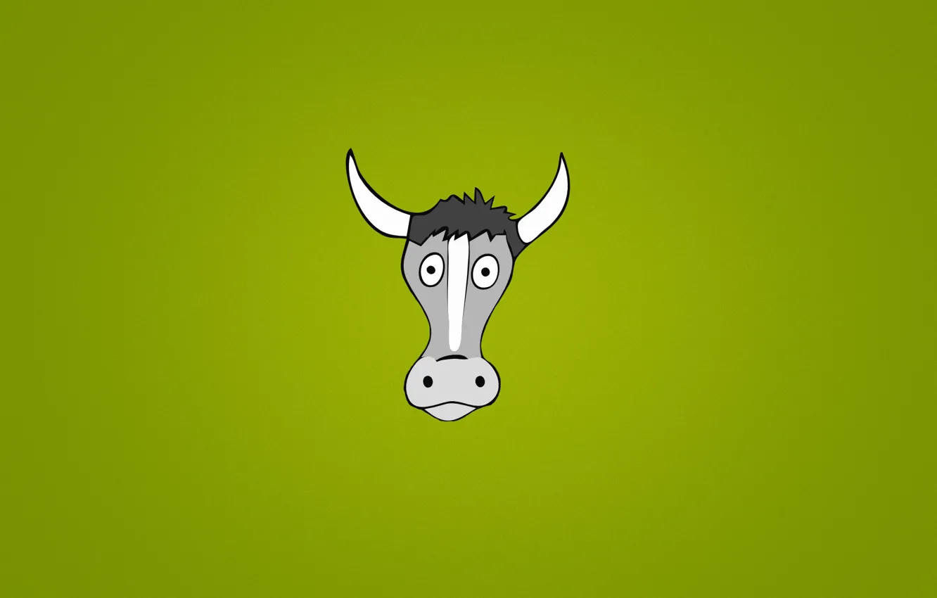 Фото обои животное, корова, минимализм, голова, рога, глазастая, зеленый фон
