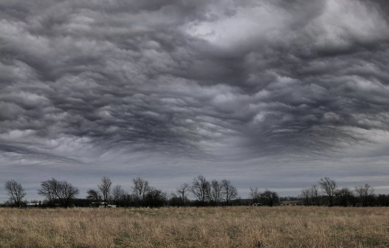 Фото обои поле, Облака, буря
