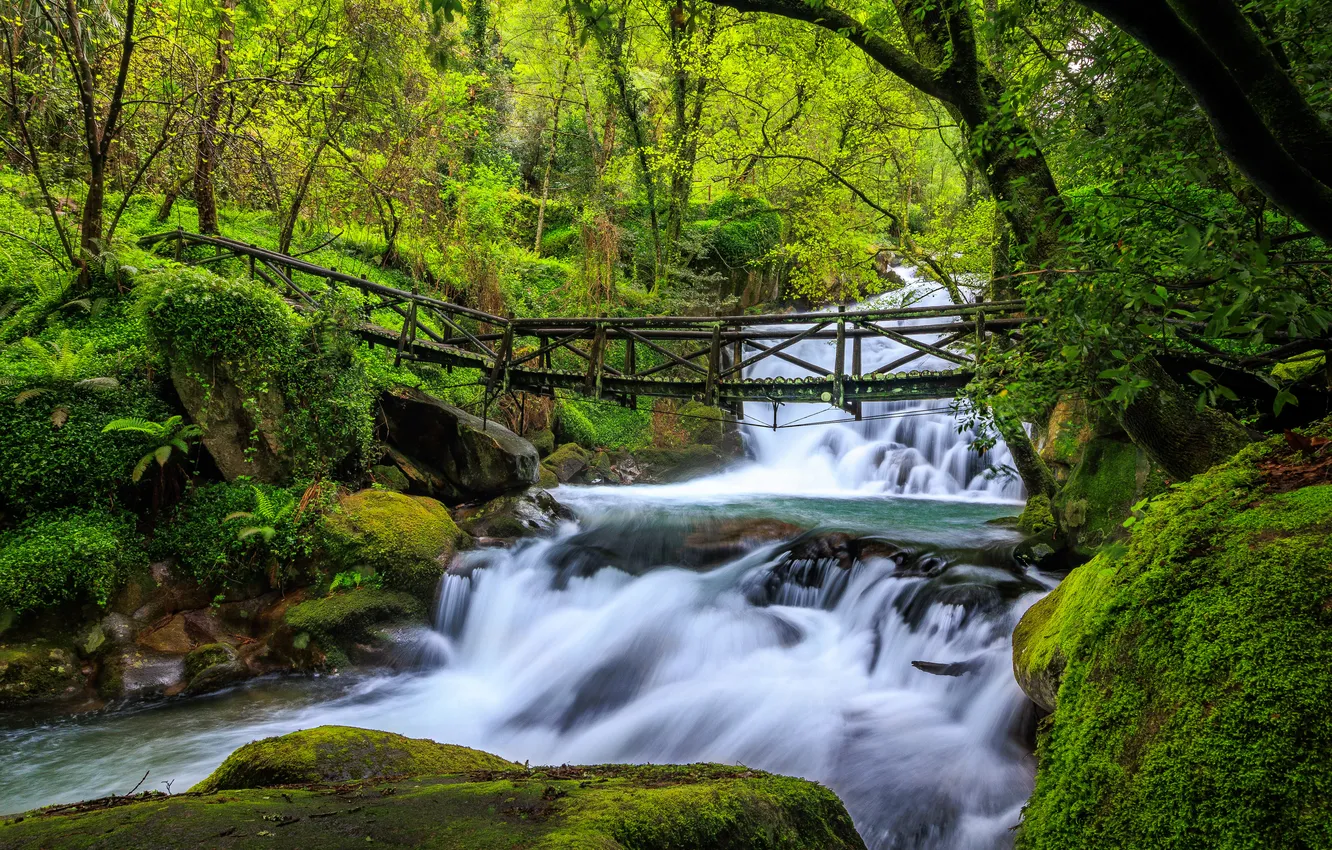 Фото обои лес, река, Португалия, водопады, мостик, каскад