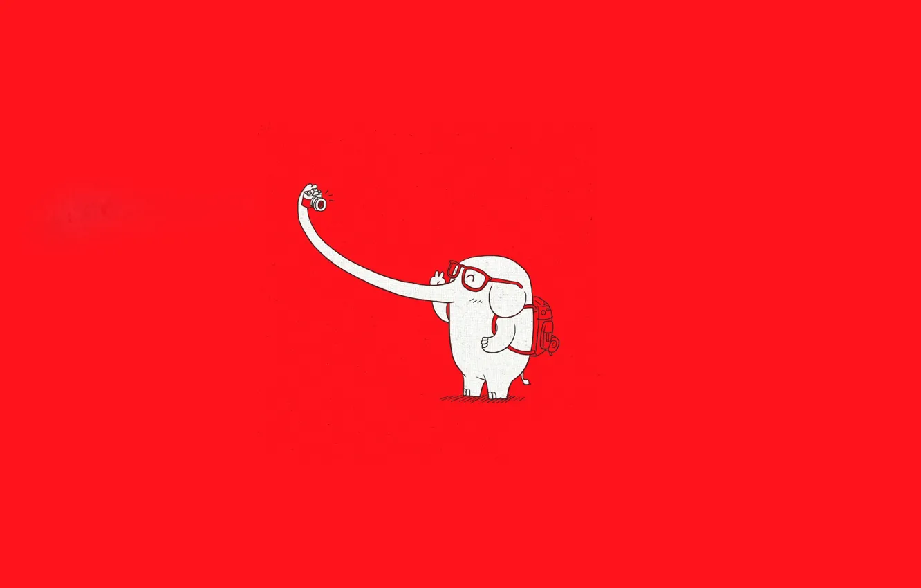 Фото обои очки, фотоаппарат, Слон, рюкзак, красный фон