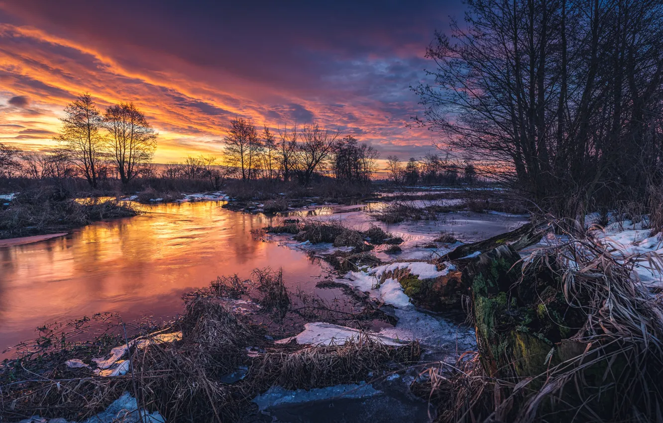 Фото обои зима, небо, деревья, закат, природа, река, Tomczak Michał