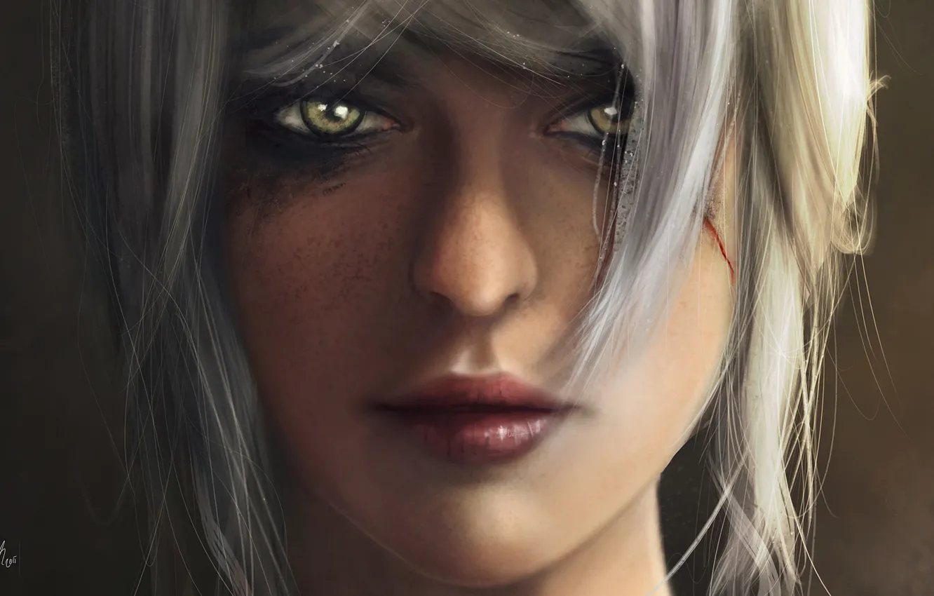 Фото обои взгляд, девушка, игра, арт, зеленые глаза, Witcher 3: Wild Hunt, Cirilla