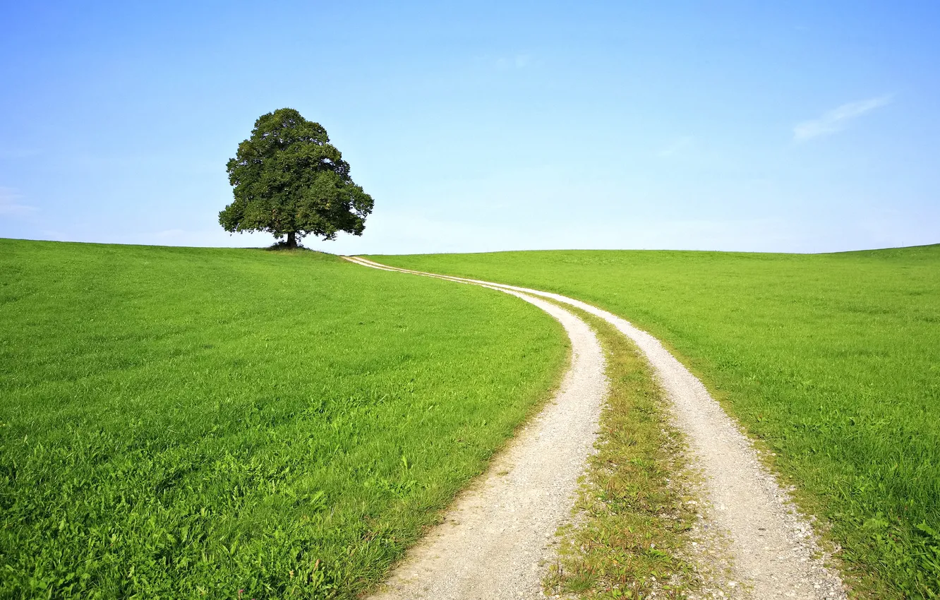 Фото обои дорога, небо, трава, деревья, природа, холмы, пейзажи