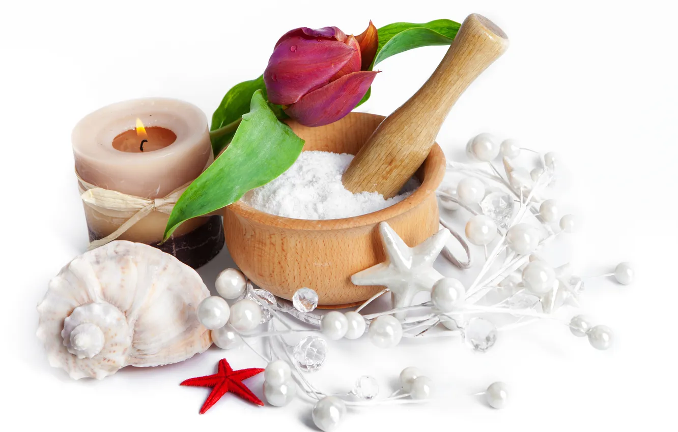 Фото обои капли, цветы, тюльпан, свечи, spa, shells, seashells