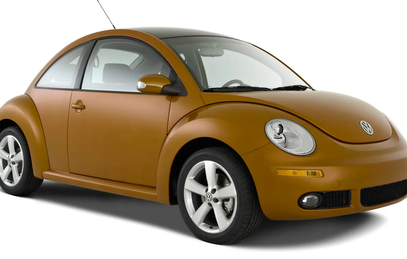 Фото обои жук, вектор, Volkswagen