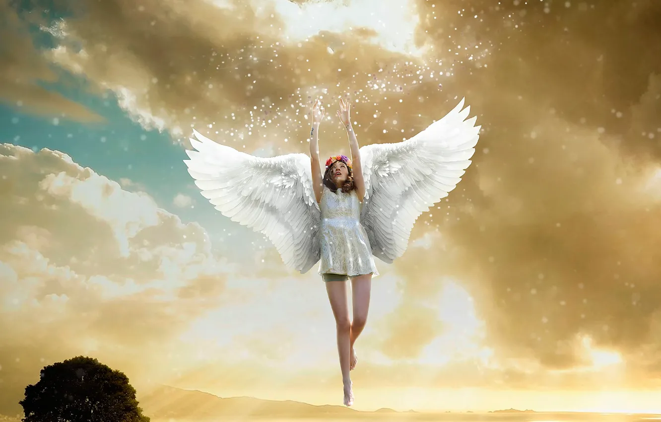 Фото обои небо, крылья, ангел, полёт
